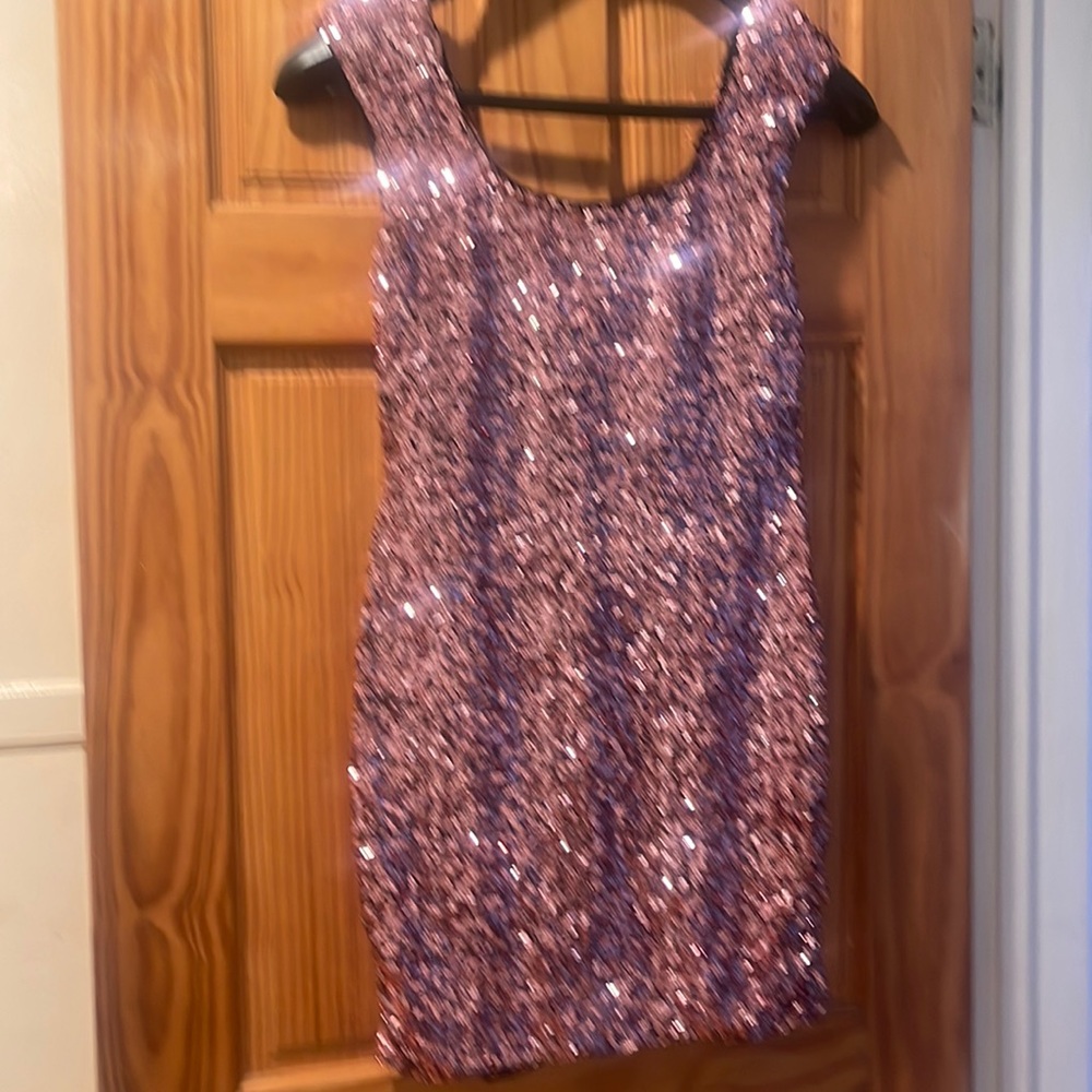 Pink sequins dress inside black under slip purchased at Bloomingdale’s
